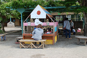 dsc_3462_thumb.jpg